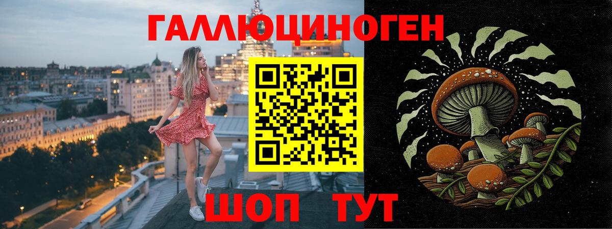 Псилоцибиновые грибы MAGIC MUSHROOMS Долгопрудный