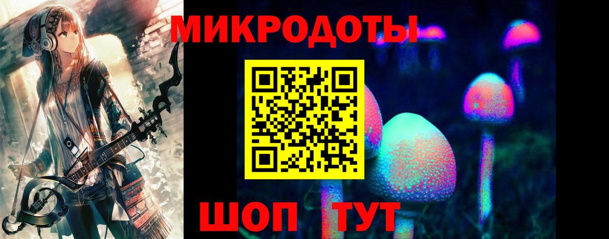 Долгопрудный  Псилоцибиновые грибы Psilocybine cubensis  Вход с VPN 